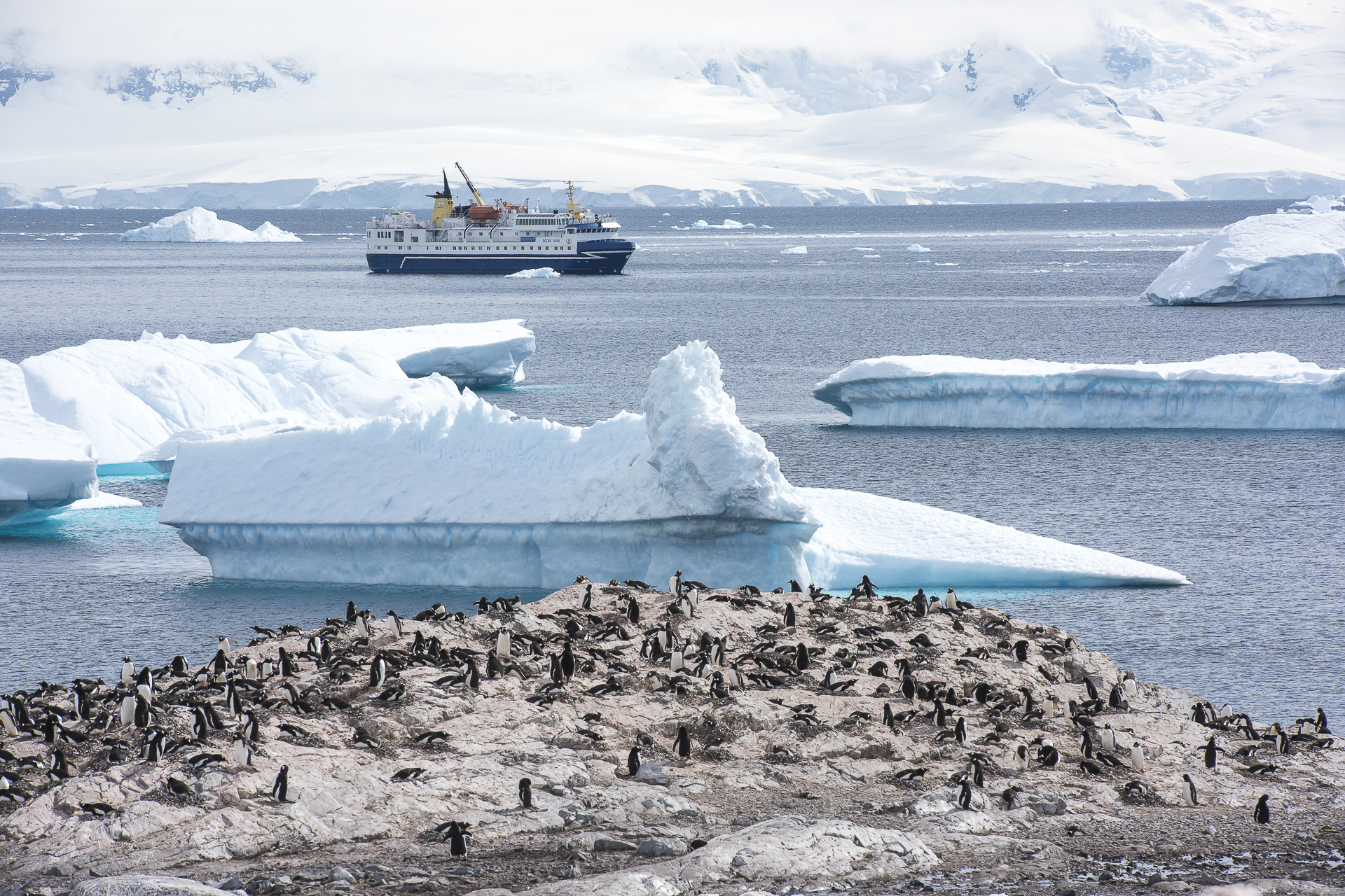 AXXI_PC1-1415_Nicolas Gildemeister_NGB0536.jpg